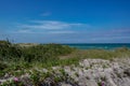 Dune landscape with the Baltic Sea on the Fischland-DarÃÅ¸-Zingst peninsula